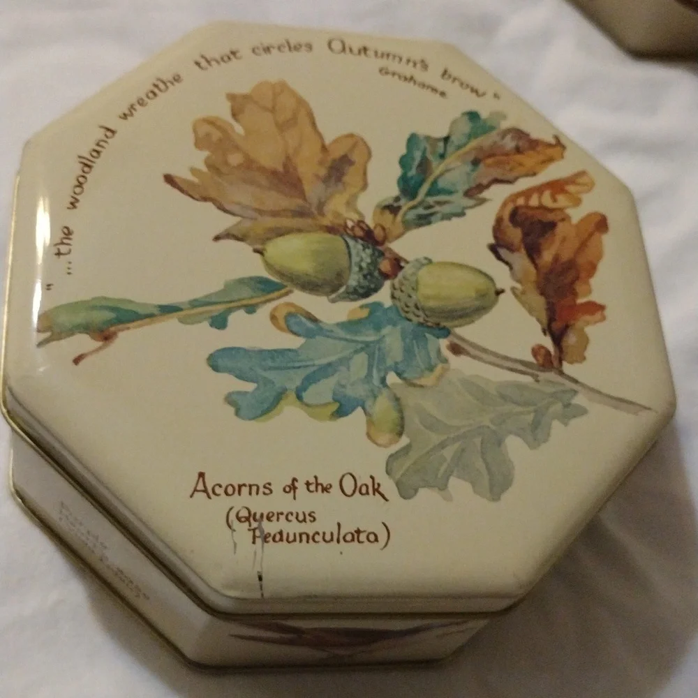 Vintage Design Richard Webb 1977 Naturalist Tin